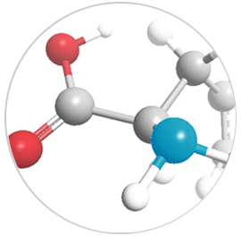 molecular